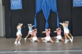 /album/majstrovstva-europy-v-opole-2012/phoca-thumb-l-dsc-1358-jpg/